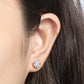 💎 60% RABATT! ✨ Sexkloriga Diamantörhängen – Klassisk Design, Tidslös Elegans & Perfekt Present ✨