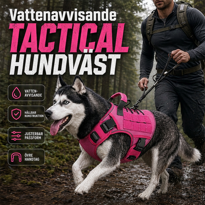 🐕 50 % RABATT NU! 🦺 Hundsele i slitstarkt Oxfordtyg – vattenavvisande, förstärkt & bekväm – perfekt för promenader och äventyr 🌲